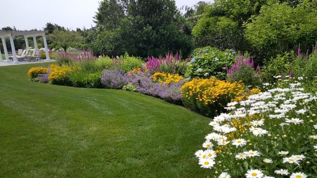 Lush garden with colorful flowers bordering a vibrant green lawn. White, yellow, pink, and purple blooms in sunlight.