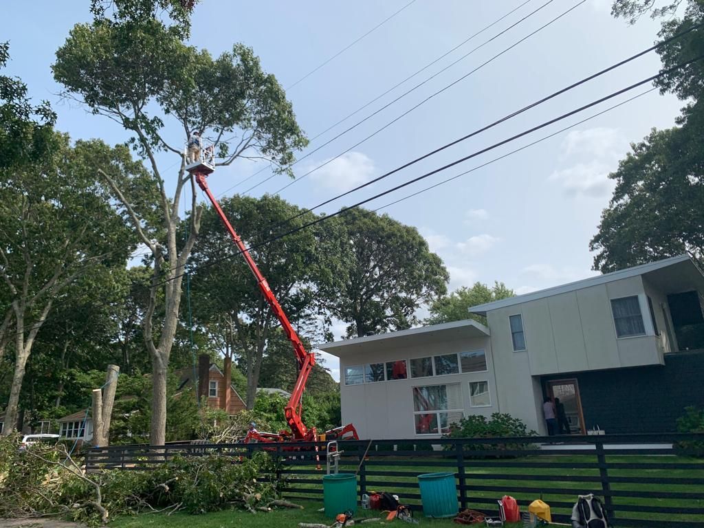 A tree trimming crew with a red lift truck near power lines and a modern house.
