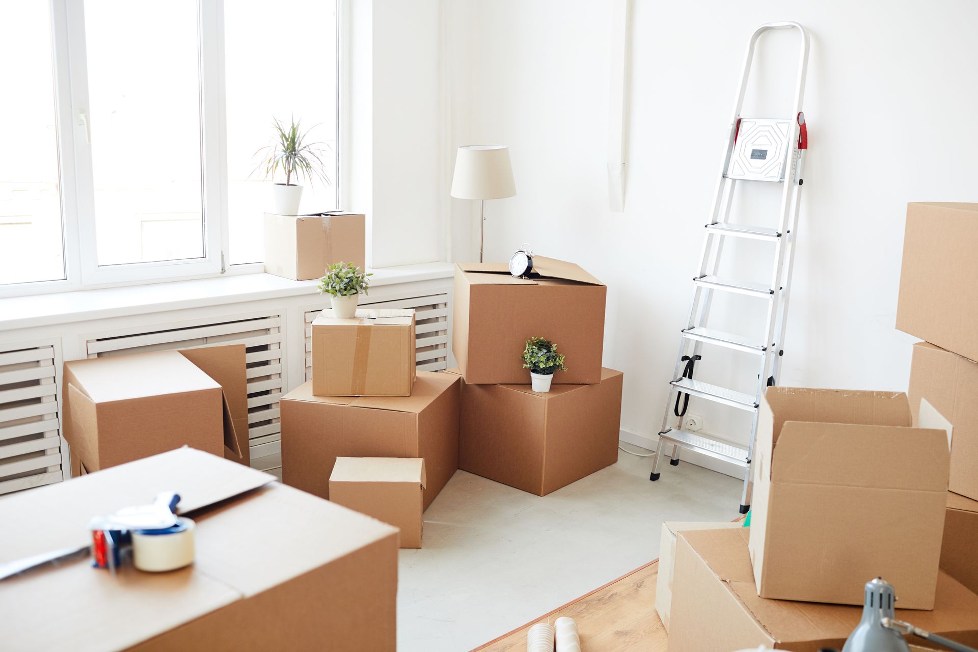 Moving boxes piled in a bright room, with a ladder, plants, and a window.