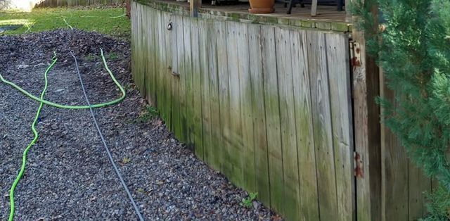 A weathered, green-tinged wooden deck skirting board sits next to a gravel area with a green garden hose in a backyard.