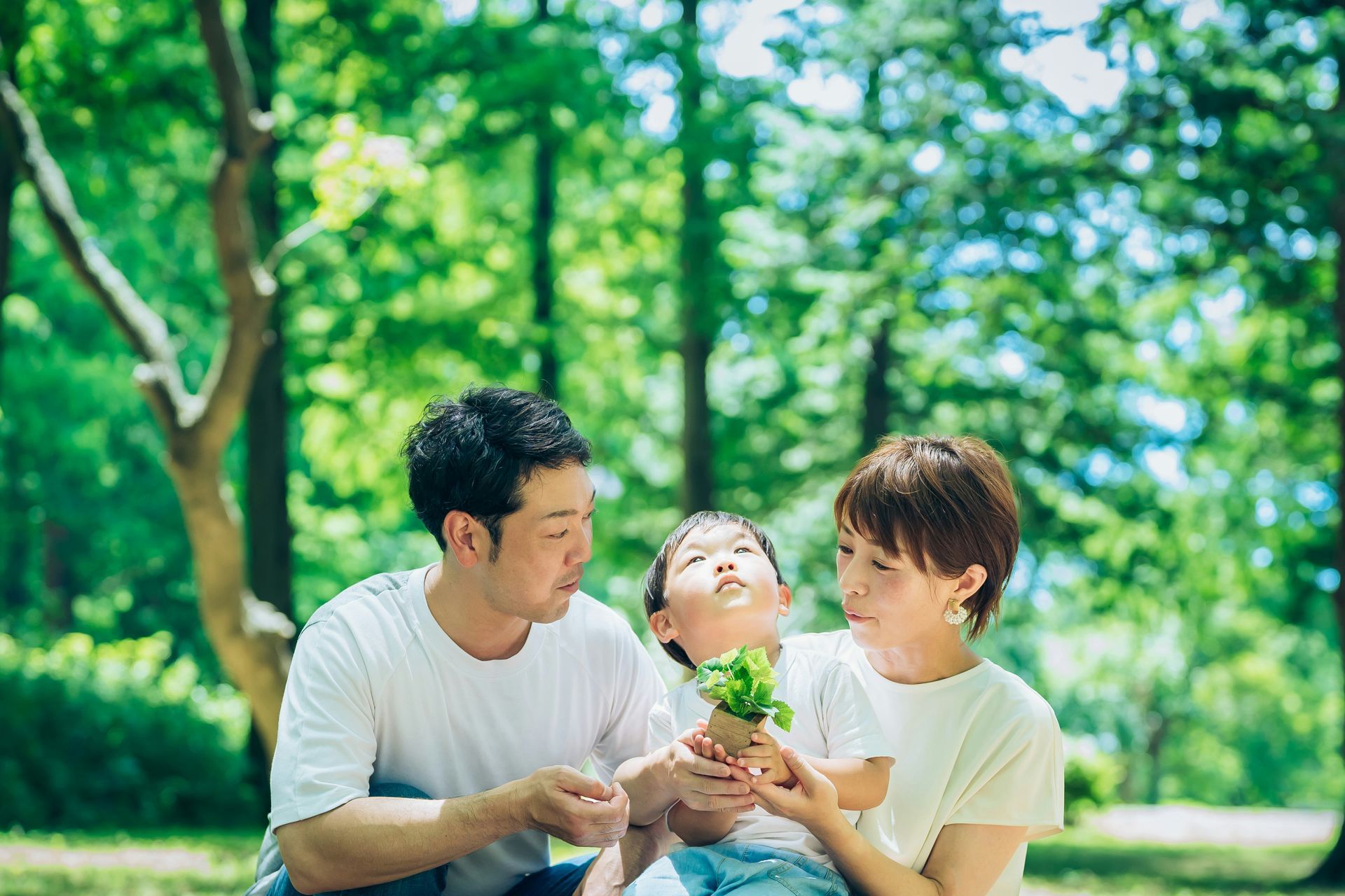 A family holds a small potted plant together in a lush, green forest park, looking at it with focused expressions.