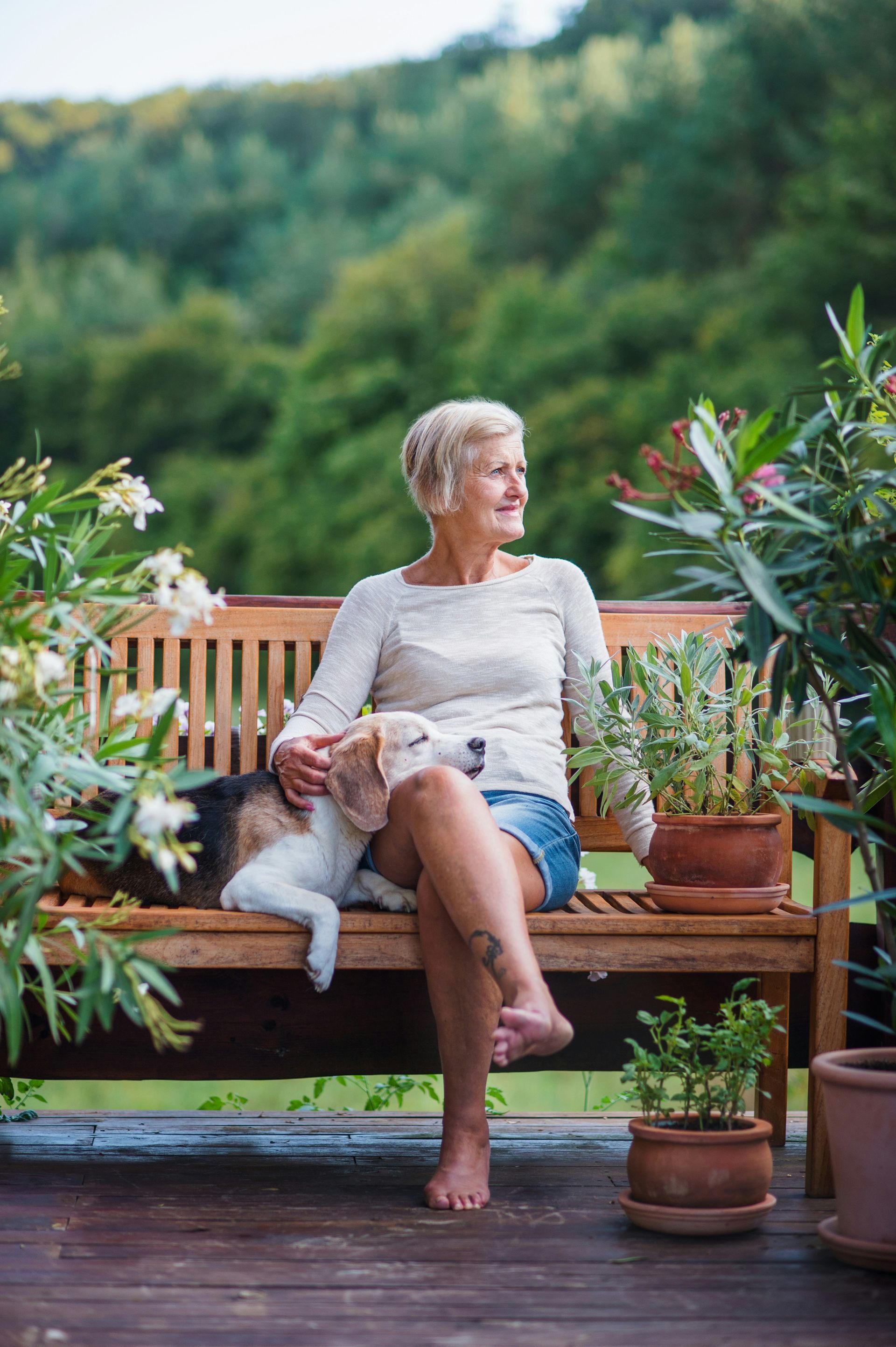 A person sits on a wooden bench outdoors, petting a beagle, surrounded by potted plants with a green hillside behind.
