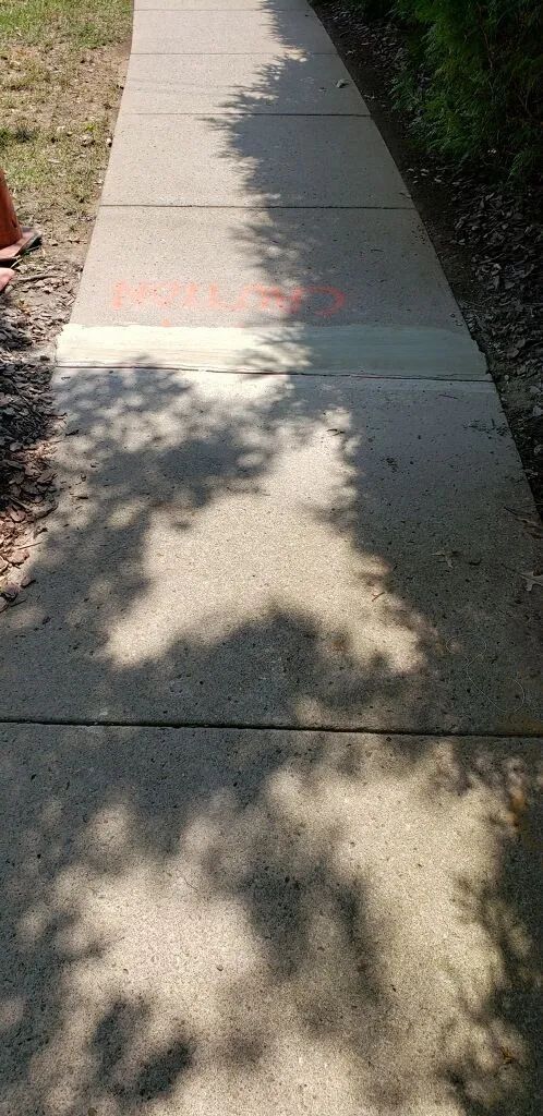 A shadow of a tree is cast on a sidewalk.