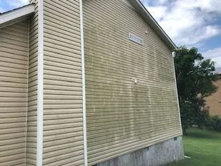 A house with a lot of green algae on the side of it.