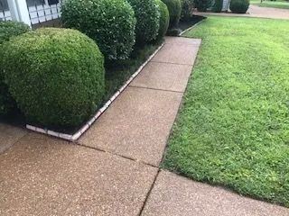 A sidewalk leading to a house with a lush green lawn and bushes.