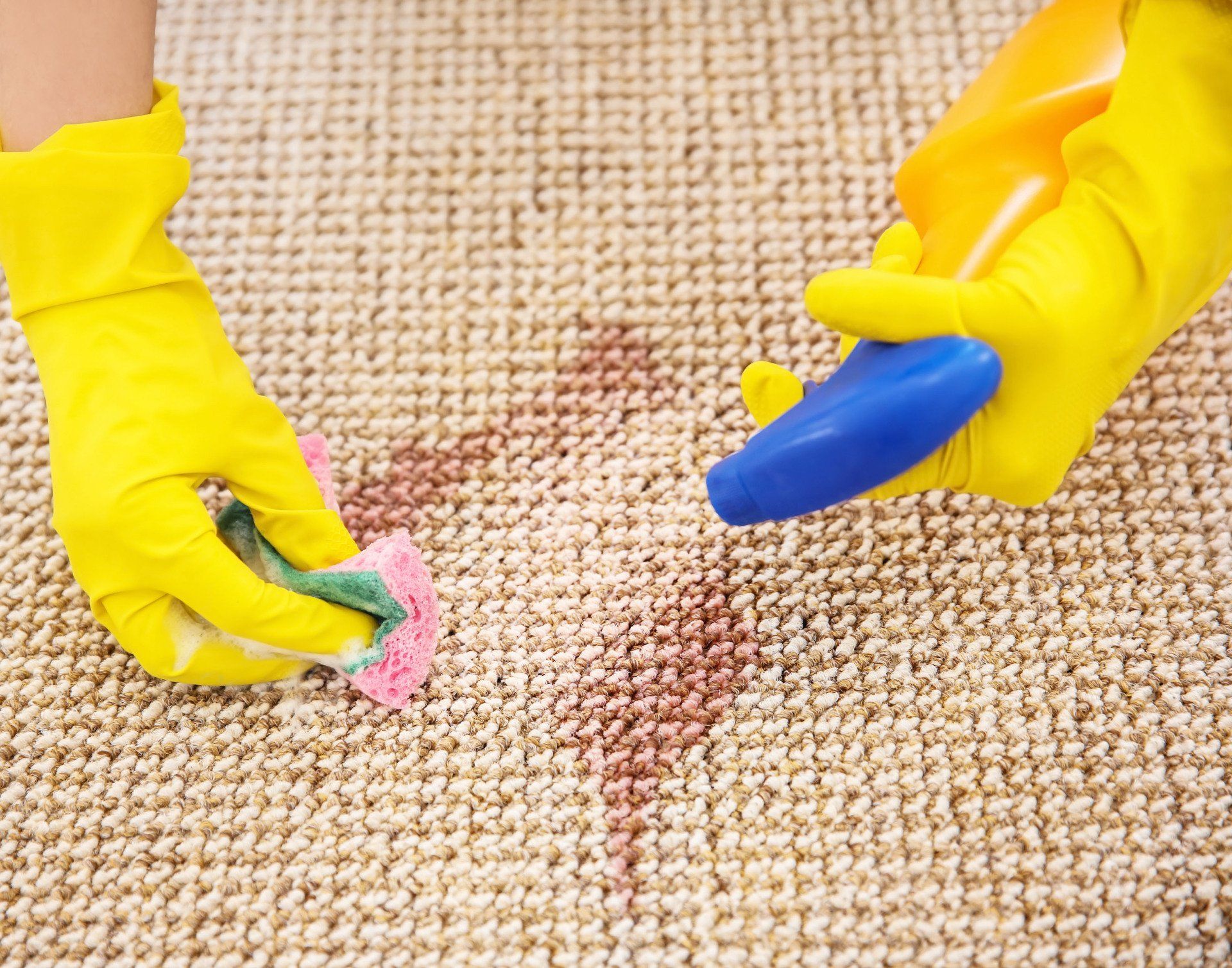 woman before removing wine spot carpet