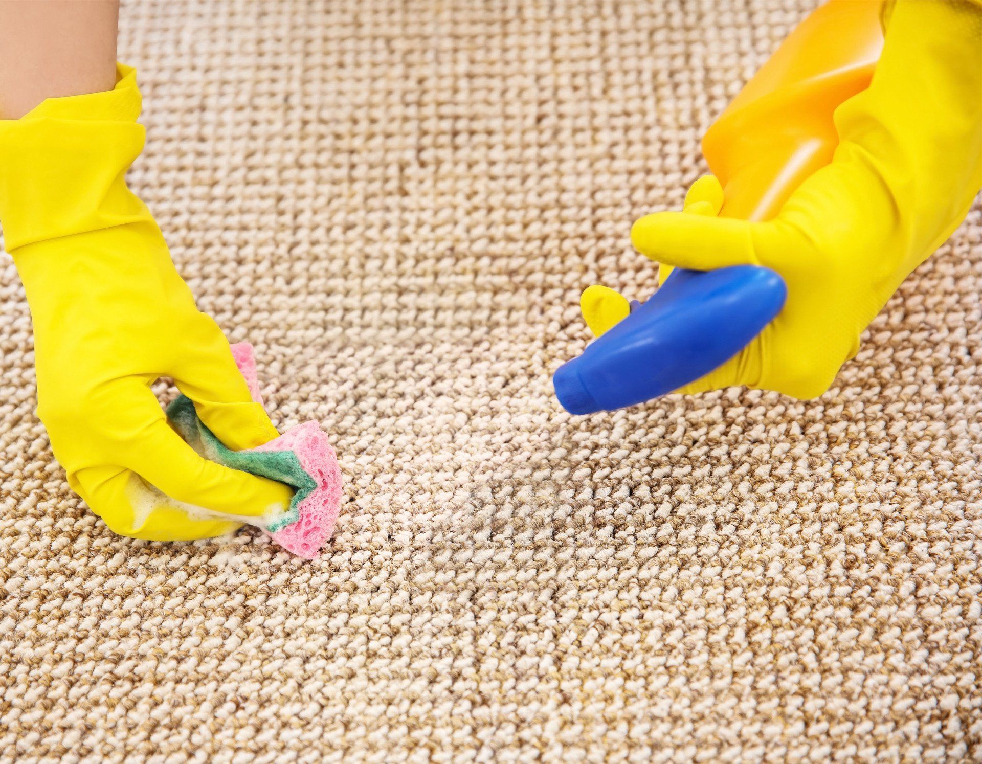woman after removing wine spot carpet