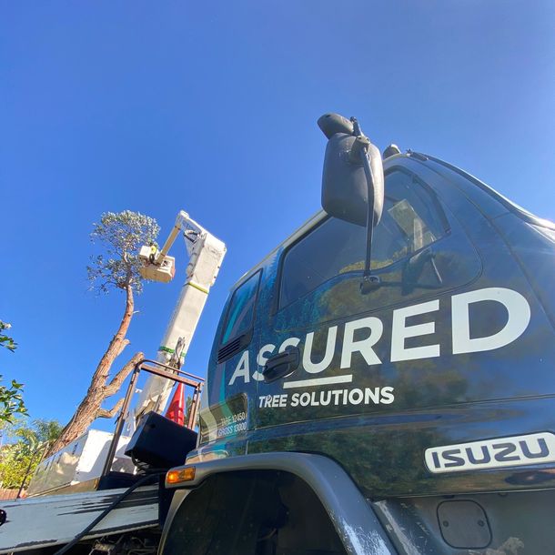 Assured Tree Solutions Truck