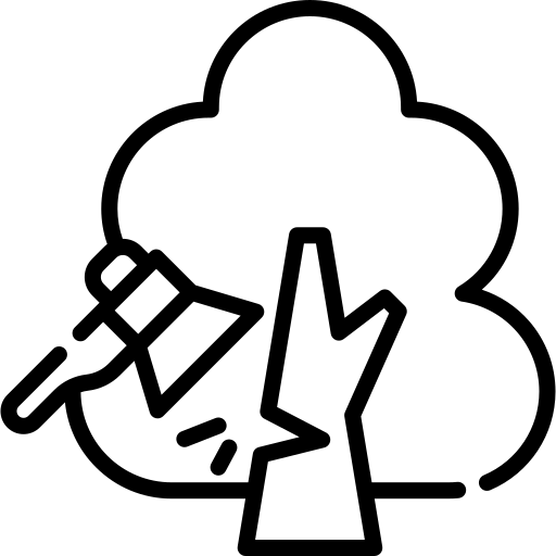 Axe