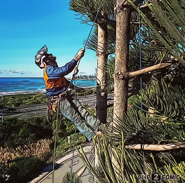 arborist shoalhaven