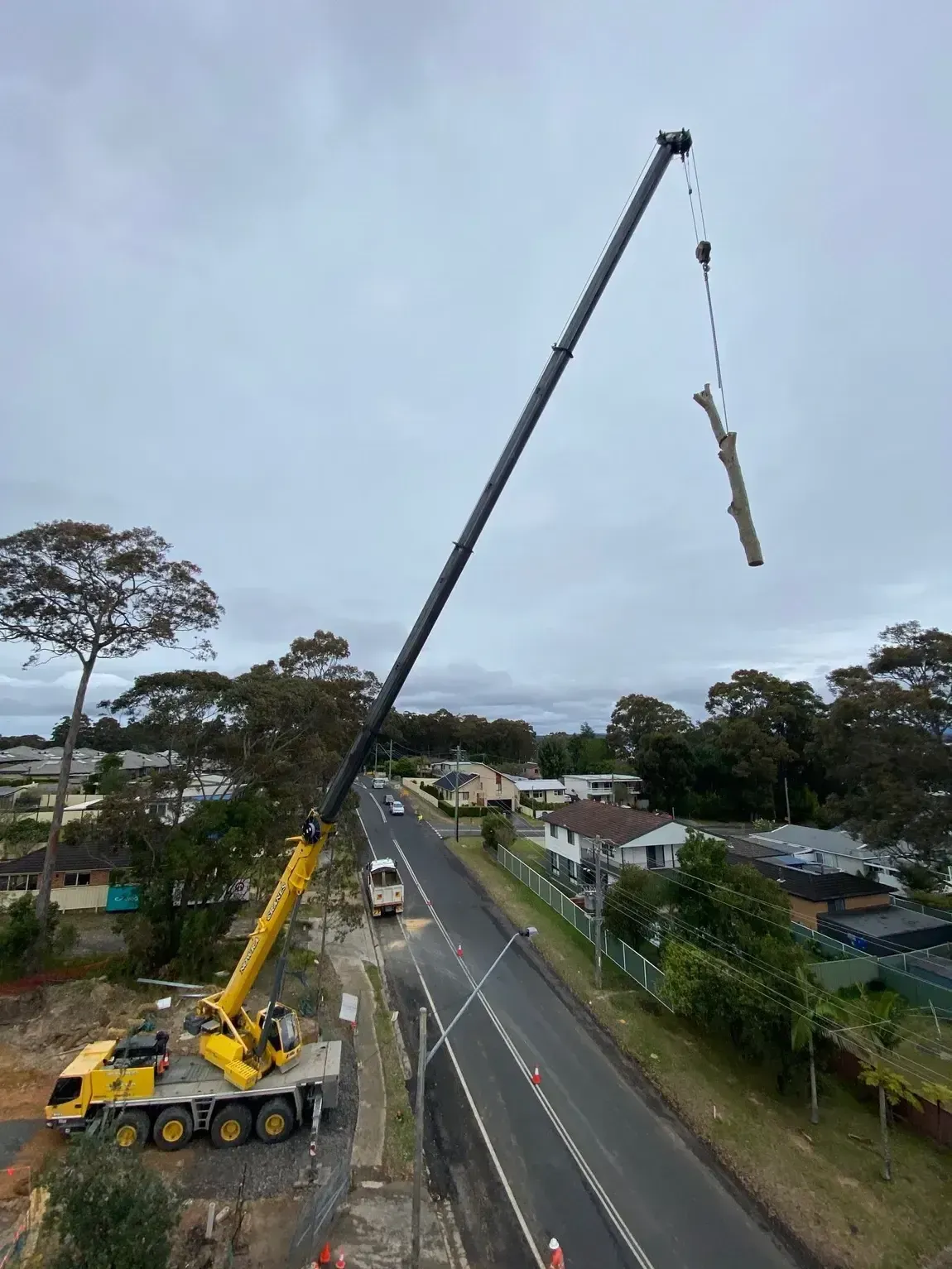 tree trimming shoalhaven