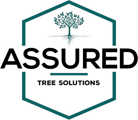 Assured Tree Solutions Icon Transparent