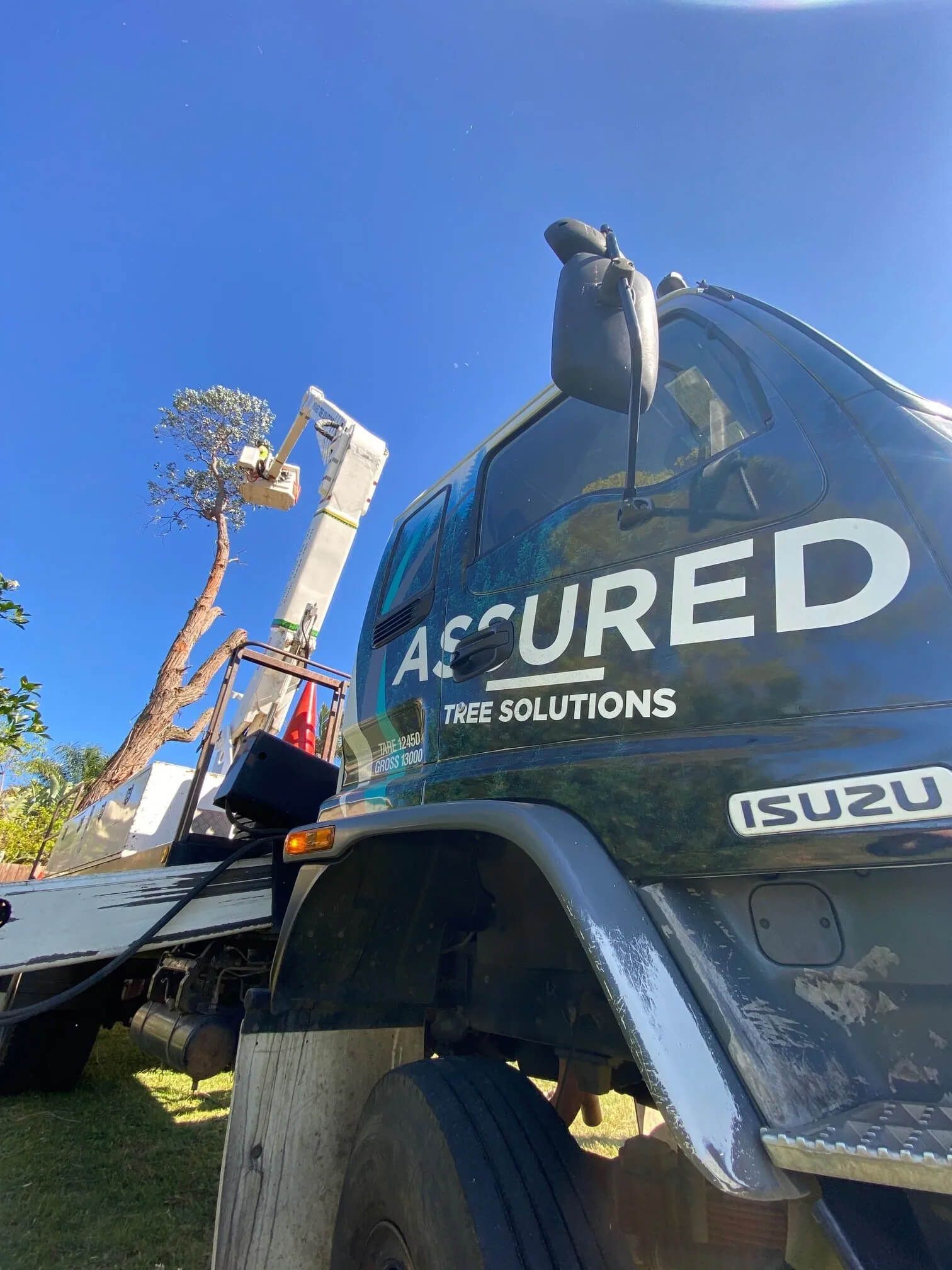 Assured Tree Solutions Truck
