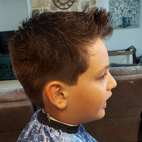 A young boy is getting his hair cut in a living room.