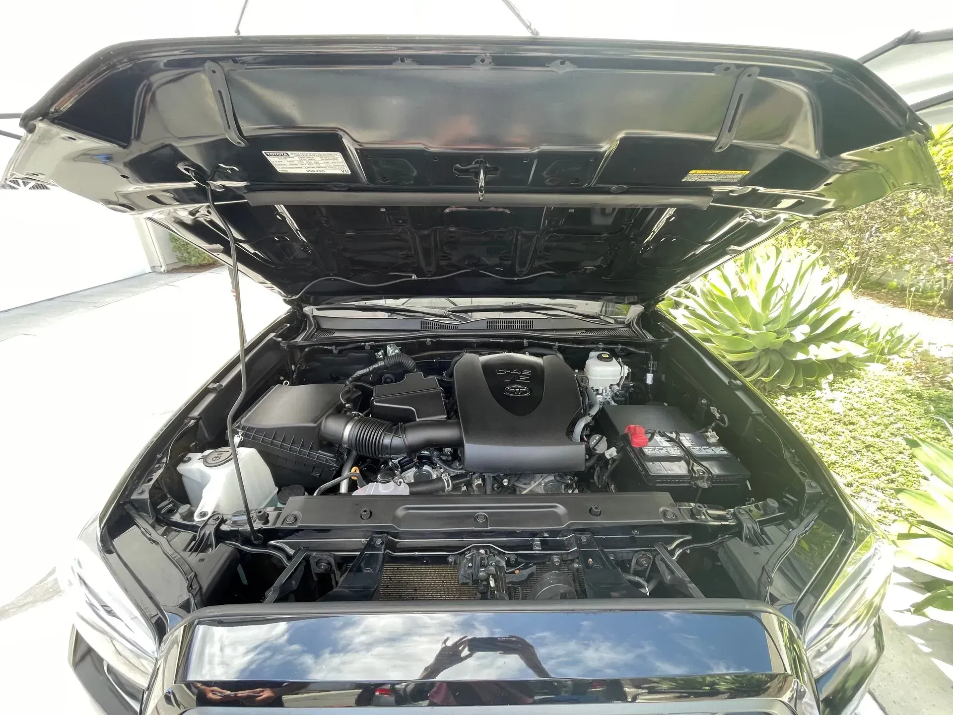 The open hood of a clean black vehicle revealing a well-maintained engine bay in a sunny outdoor setting.