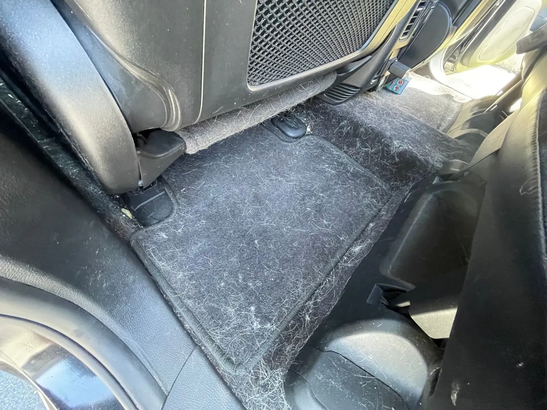 The carpeted floor of a vehicle's back seat, heavily covered in light-colored pet hair or lint.