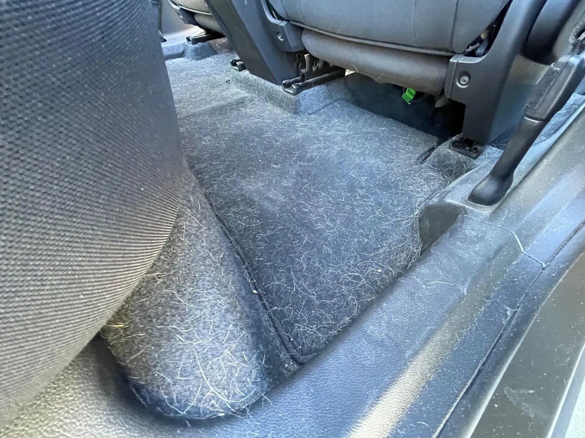 Dark car floor carpet and upholstery covered in dense, light-colored animal fur.