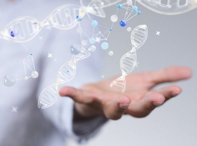 A person is holding a dna structure in their hand.