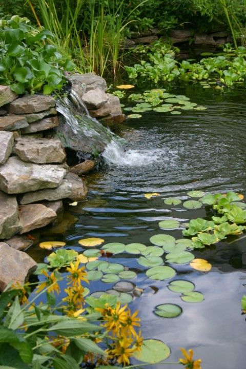 Lovely outdoor haven with a small pond and calming waterfall