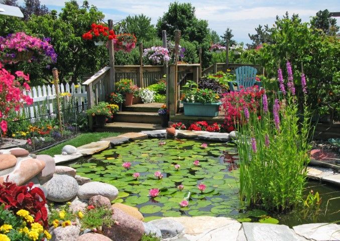 A peaceful garden with a pond of lilies and colorful flowers