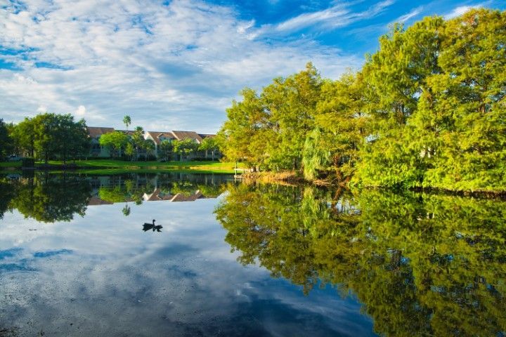 Peaceful pond surrounded by autumn foliage in Town 'n' Country, FL