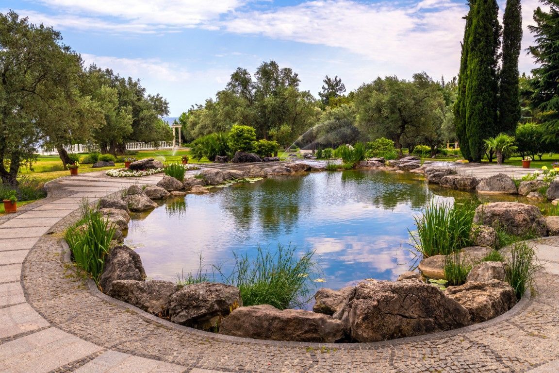 Calm pond with rocks and trees in a scenic summer garden