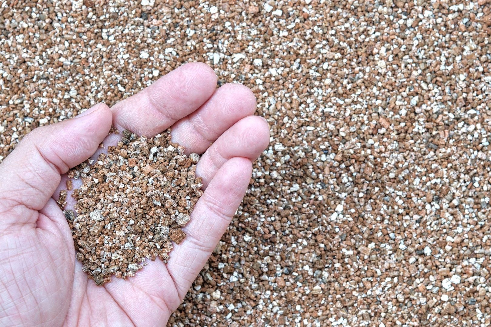 Hand holding vermiculite for hydroponic gardening use.