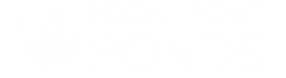 Focal Point Pond logo | professional pond installers in Tampa FL