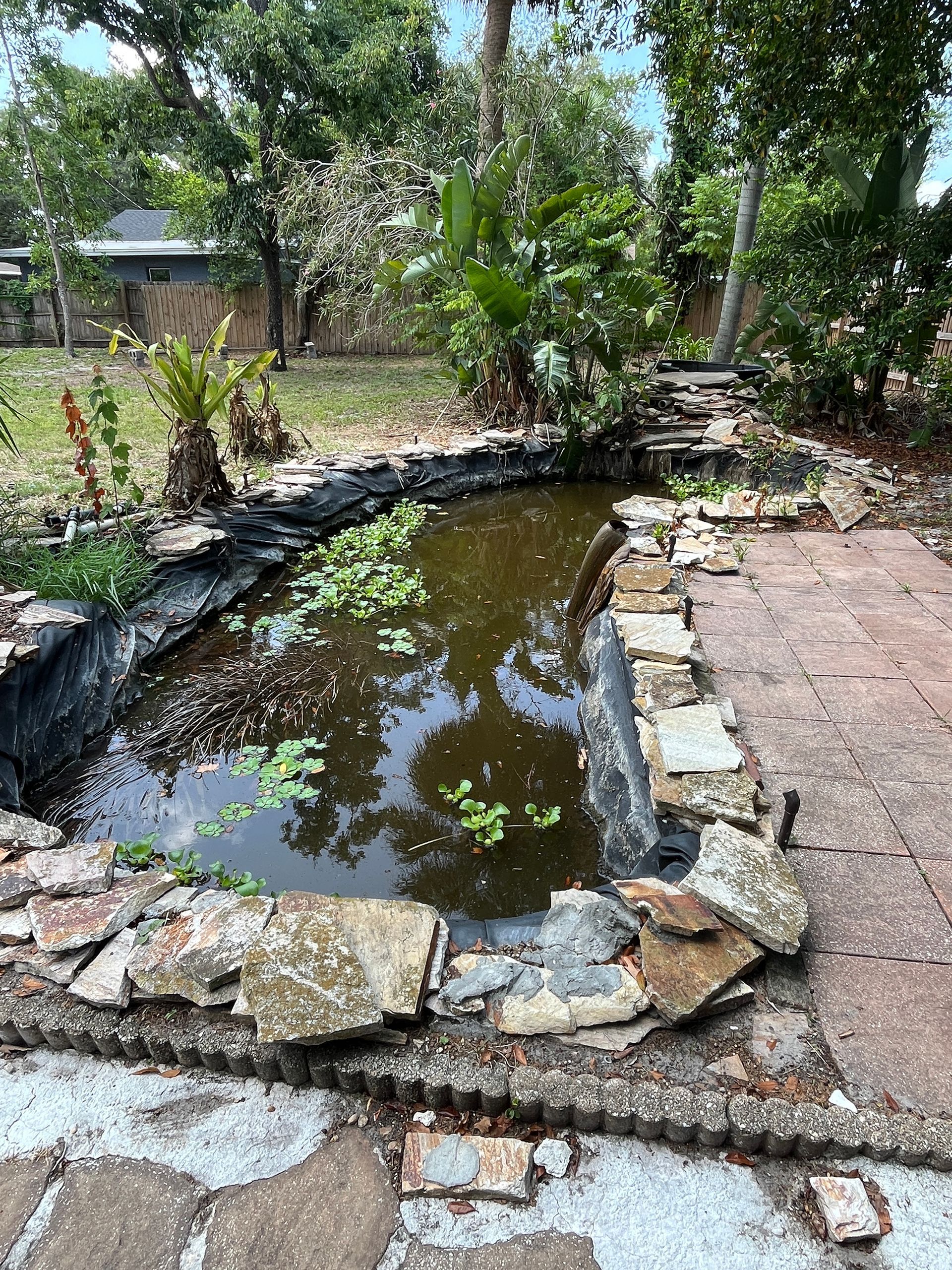 old pond that was requested to be filled in