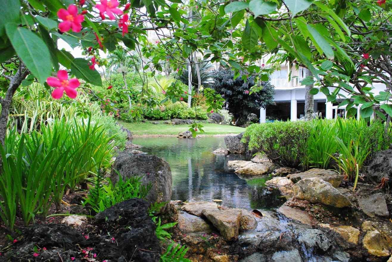 Newly completed pond installation in Tampa FL surrounded by lush and green plants.