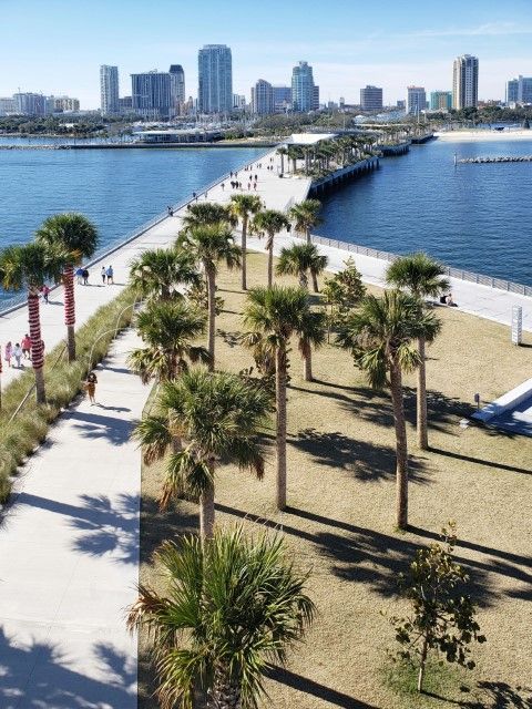 Calm waters and vibrant green palms along the scenic coast
