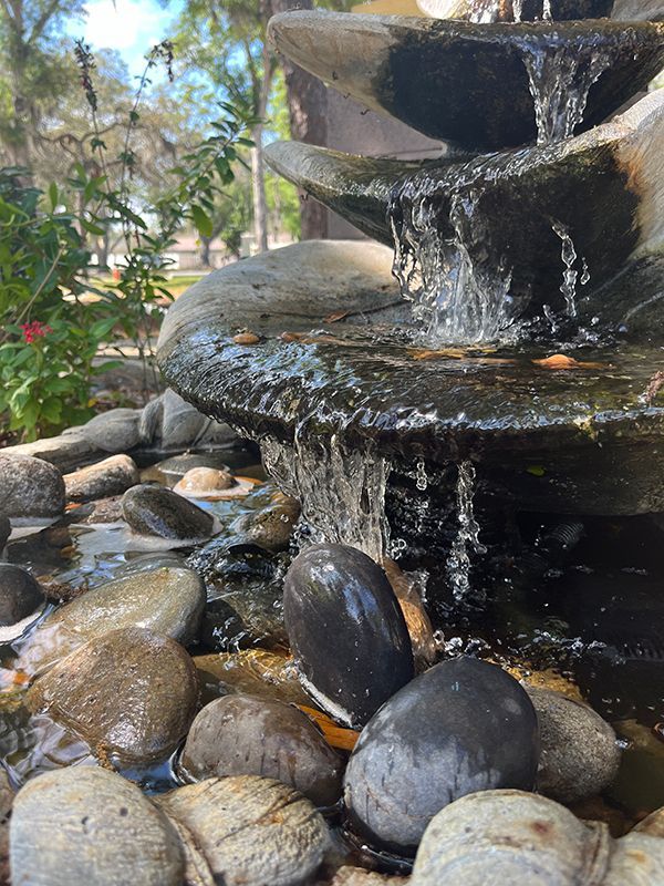 fountain with algae spilling over pebbles