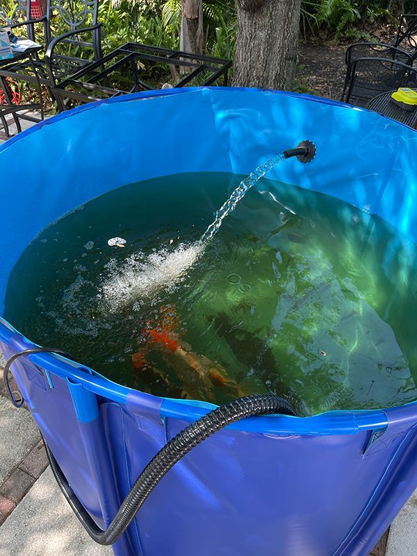 temporary fish storage tank for koi or other species while a pond cleaning happens