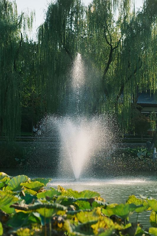 secured fountain in beautiful outdoor pond with 2 tier umbrella-like spray