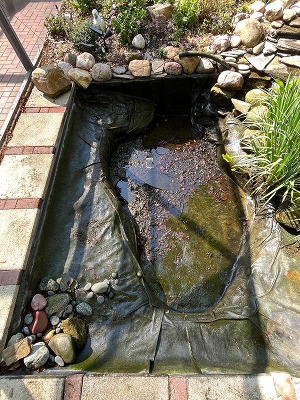 the remnants of leaves in a backyard pond after being drained