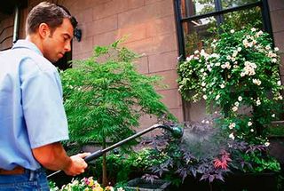 Plant Watering — landscaping in Swansboro, NC