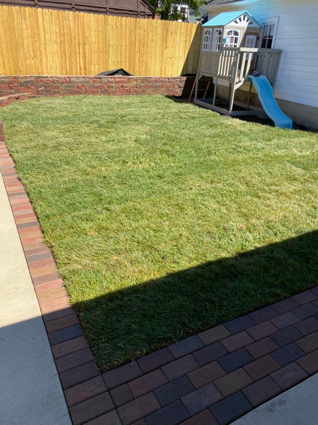 a fresh and green yard after cleanup