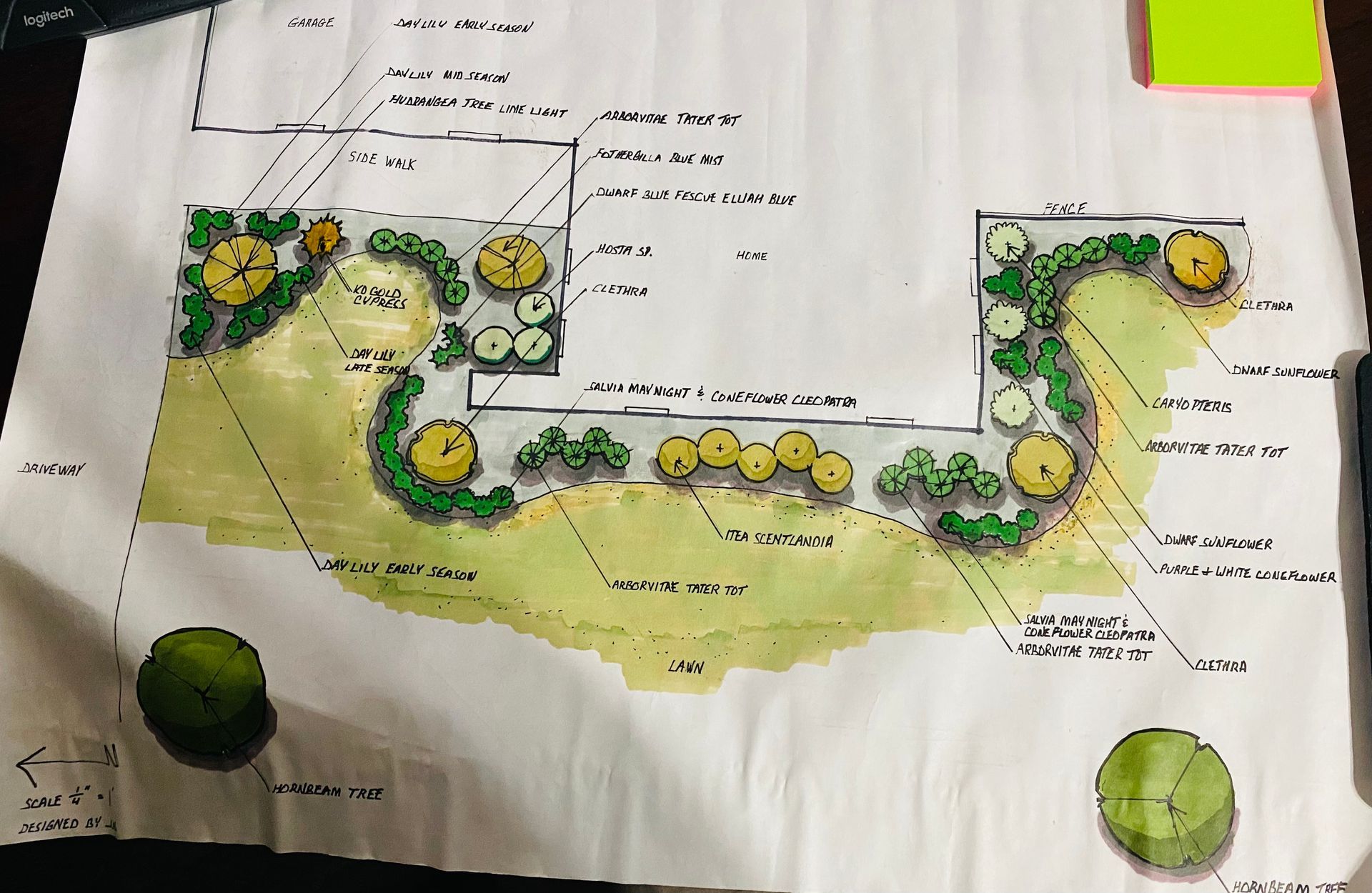 landscaping plans for backyard