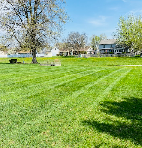 bright green grass