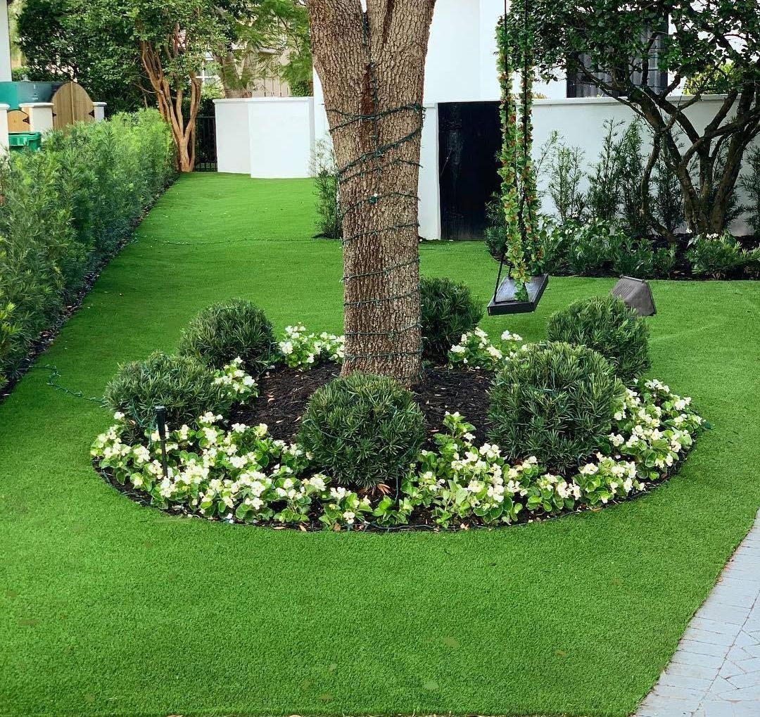 garden bed surrounding a tree