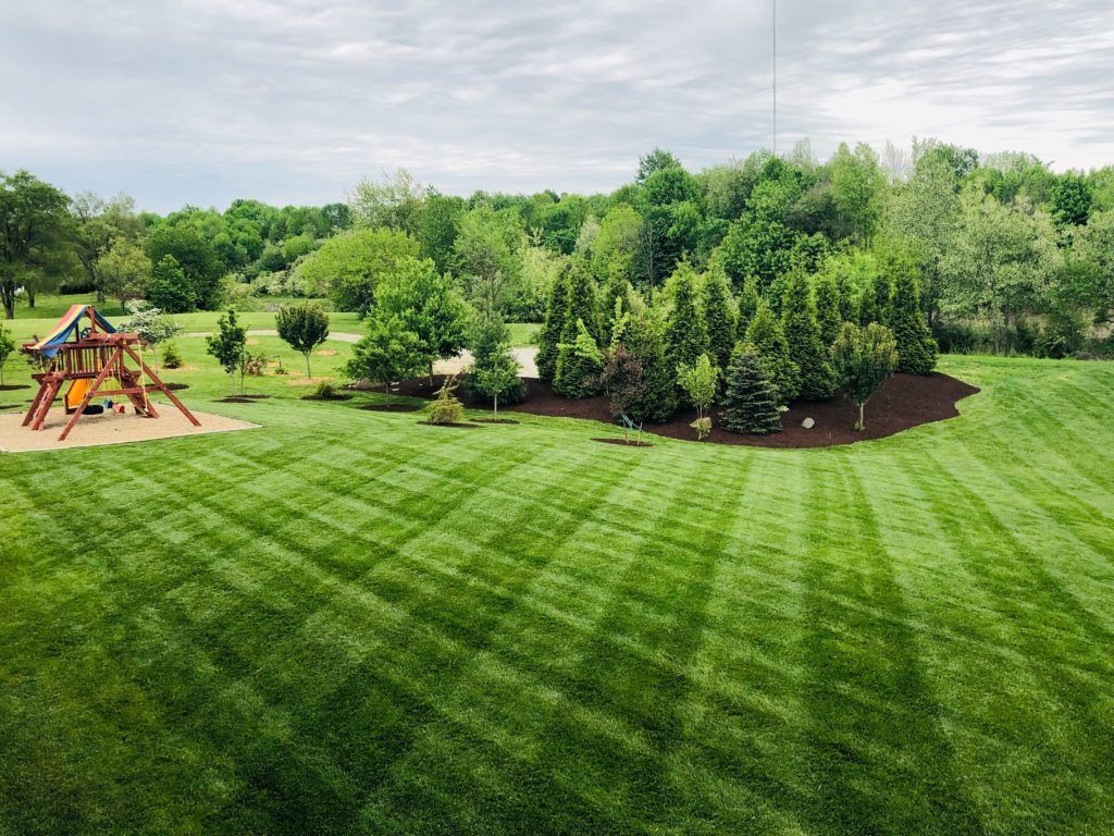 a large green freshly mowed yard with trees in the middle