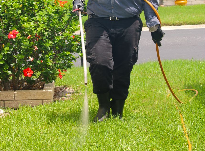 man spraying for pests