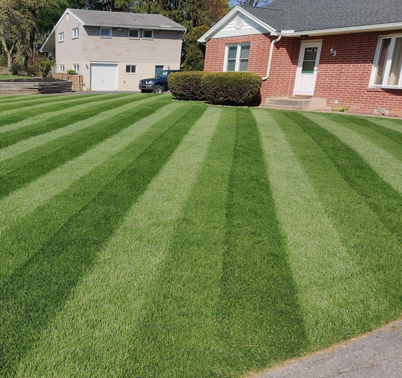 lawn with amazing mowing stripes