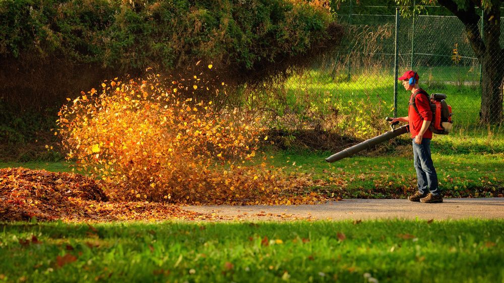 man blowing golden brown leaves