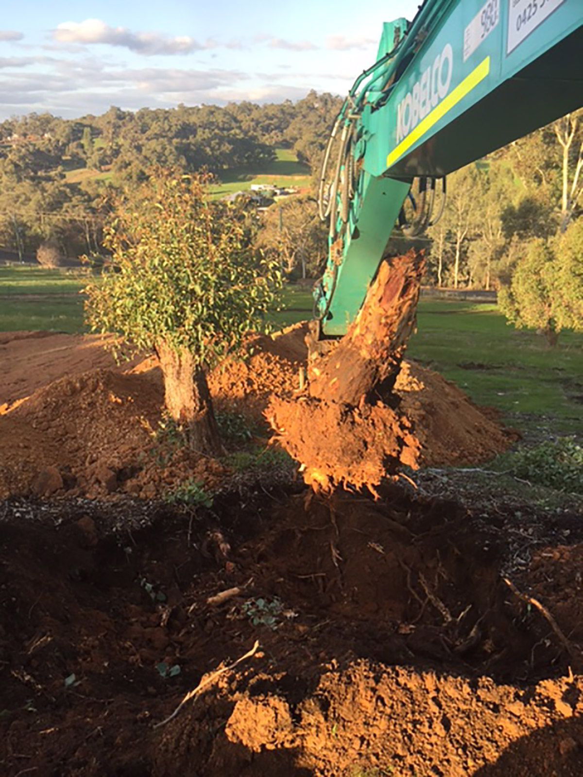 A green excavator is digging a hole in the ground.