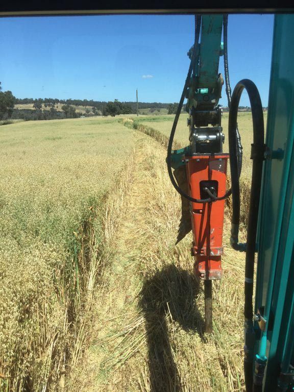 A tractor is driving through a field of wheat.