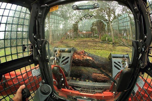 A person is driving a bulldozer through a forest.