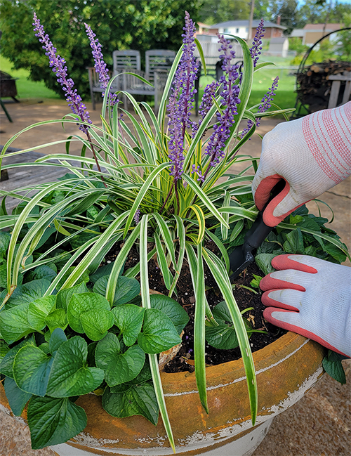 Landscaping by TB Home Services