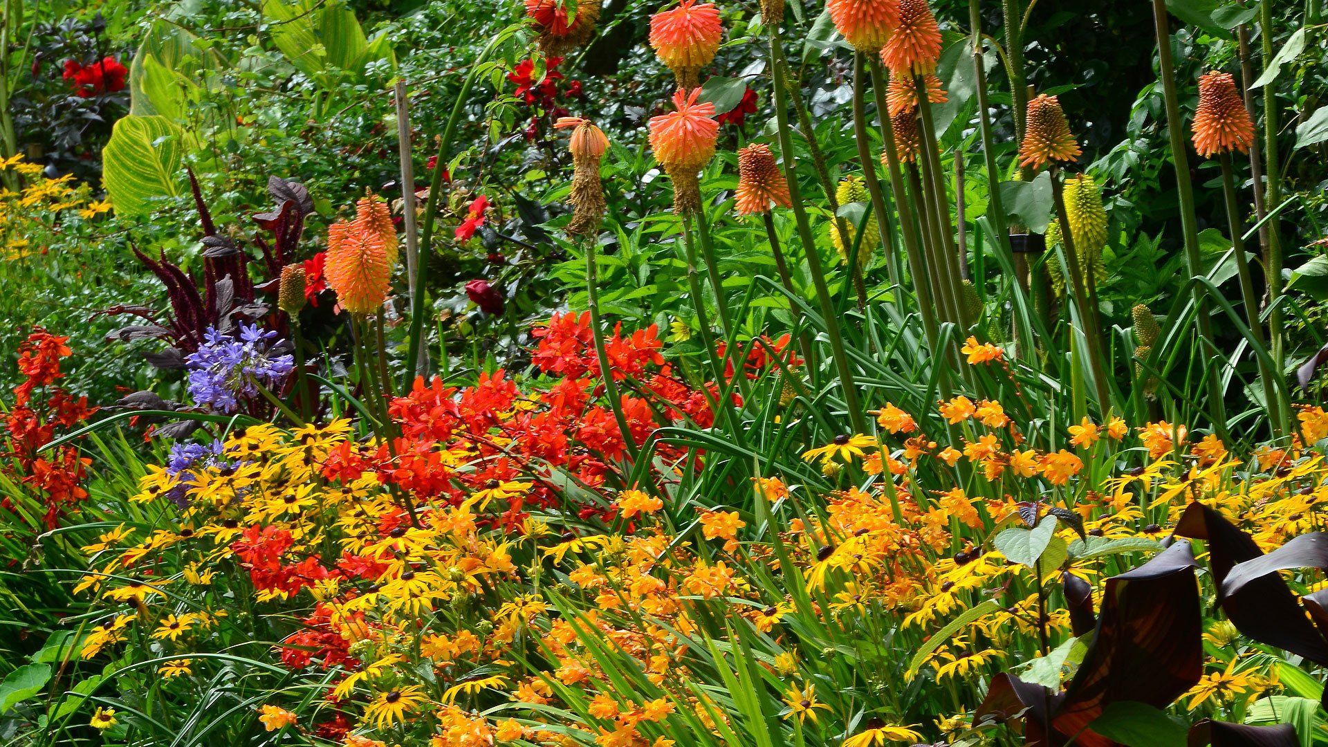 Garden Centre | Orchard Cafe | Farm Shop | Holme for Gardens