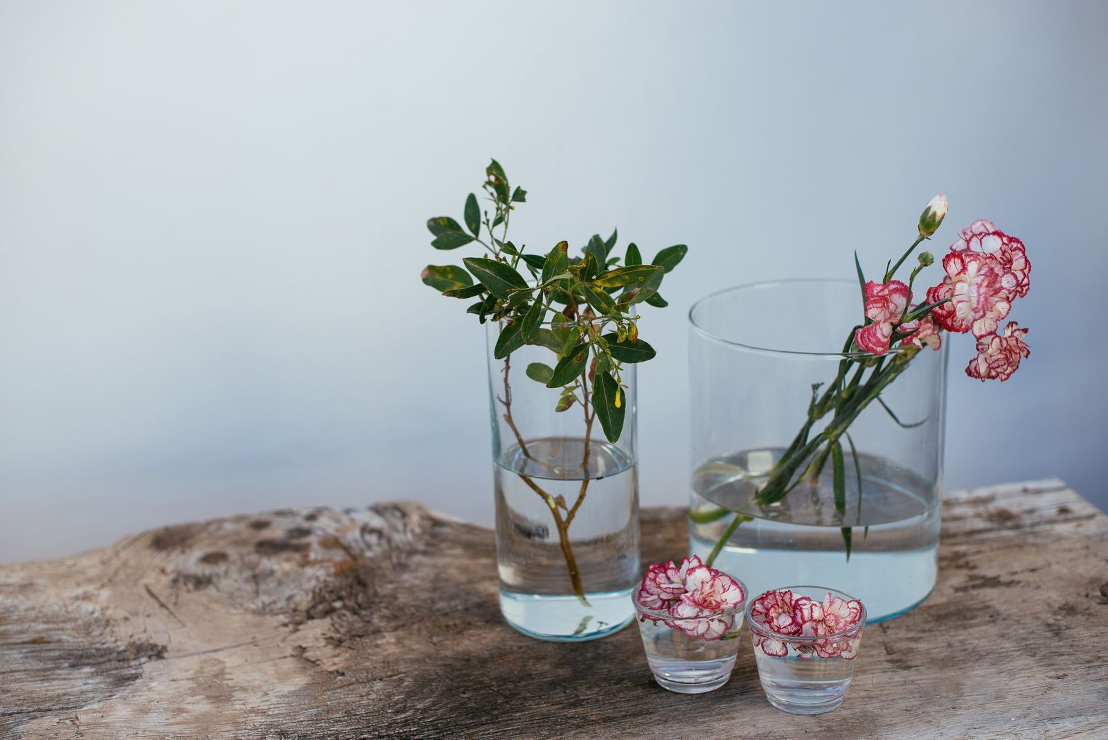 Las Casas del Camino Real. Gallery